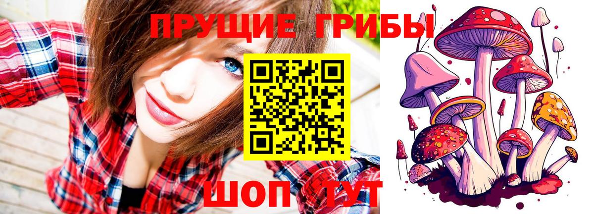 Псилоцибиновые грибы Psilocybe  Вход с VPN  Екатеринбург  Псилоцибиновые грибы MAGIC MUSHROOMS 