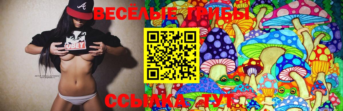 Галлюциногенные грибы Psilocybine cubensis Екатеринбург